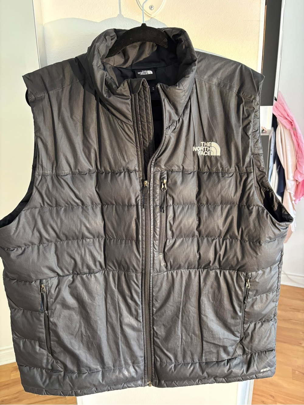 The North Face Black Quilted Down-Style Men's Vest